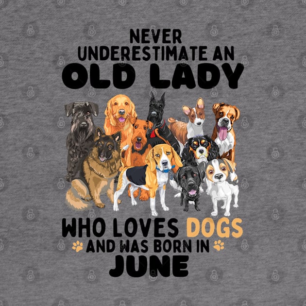 Never Underestimate An Old Lady Who Loves Dogs And Was June by JustBeSatisfied